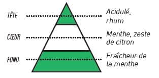 pyramide olfactive sense menthe agrumes - E-liquide Menthe Agrumes Sense