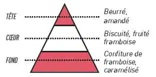 pyramide olfactive gaufrette framboise - E-liquide Gaufrette Framboise Sense