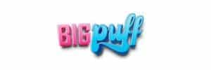 logo big puff 300x100 - Cartouches de rechange Big Puff Reload X2