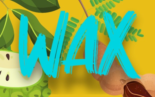 E-liquide Wax by Solana